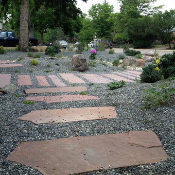 Xeric Landscapes