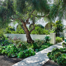 front yard