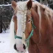 Jayne Galbraith's photo