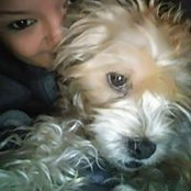 Foto von Tisha Flores