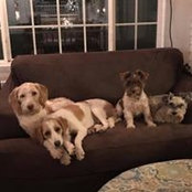 Foto de Barb Smith