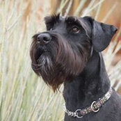Clarke Isackson's photo
