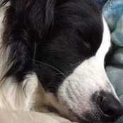 Debbie Robinson's photo