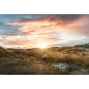 Melanie Neuhaeuser's photo