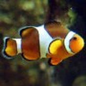 Eduard Bondarenko's photo
