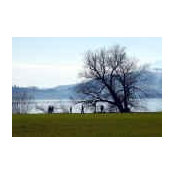 Maureen McQuade's photo