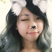 Foto von Casey Chan