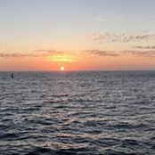 lam saam's photo