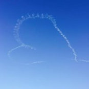Angela Diffee's photo