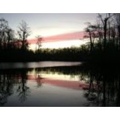 Marcy Smith's photo