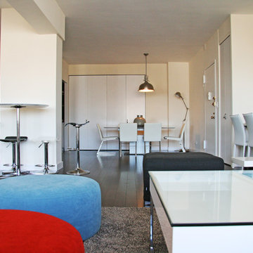 Downtown NYC - Complete apartment remodeling