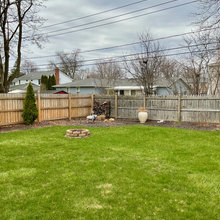 Backyard Landscape