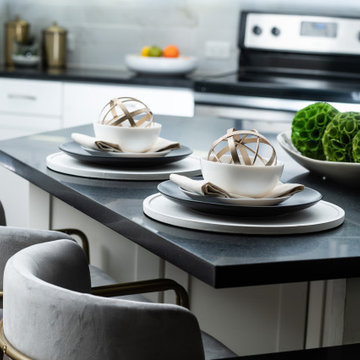 River Oaks Modern Model Apartment