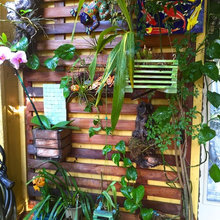 tracy_graffis's ideas