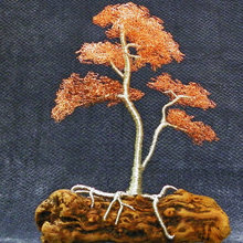 Erainn Trees
