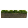 Wooden Container Brown Stain, Moss