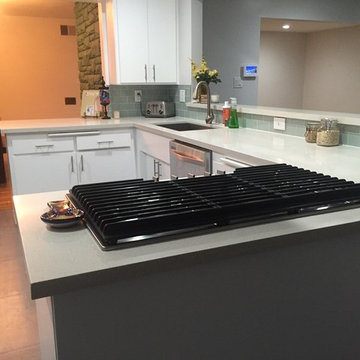 Open Kitchen and Living Space in Long Beach