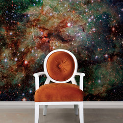 National Geographic Murals - Wall Decals