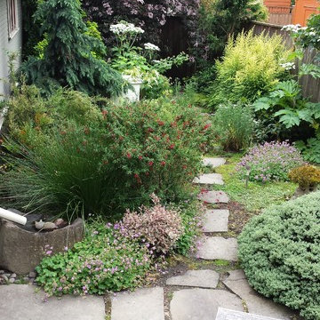 Rain Garden for Pollinators