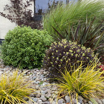 Contemporary Front Garden & Drive-way, Longniddry