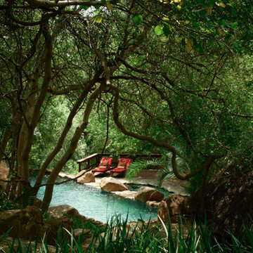 Ebony, Singita Lodge, South Africa