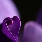 Helen Wrights foto