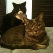 Foto von Mandy Askew