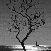 Peter Calkins's photo
