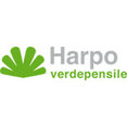 Foto di profilo di Harpo Verdepensile