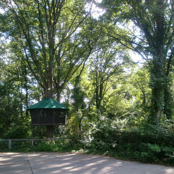 Tree House