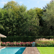 Pool und Garten