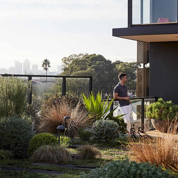 Rozelle — Rooftop hardscaping and drought tolerant planting