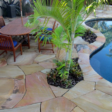 South Florida Backyard Pool Landscape and patio