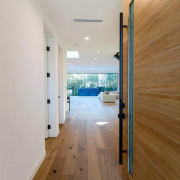 Modern Home | Mar Vista