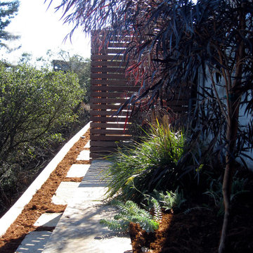 Sausalito, CA - Plantings for a Steep Slope