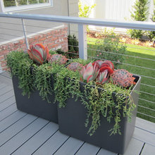 back balcony