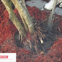 Root Assassin Shovel at work - Shovels And Spades