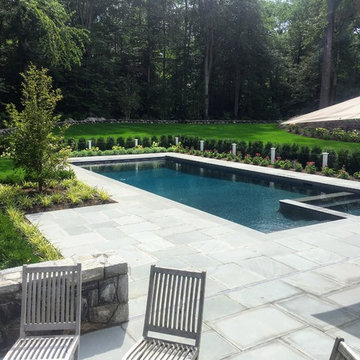 Greenwich Transitional