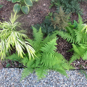 WOODLAND GARDEN