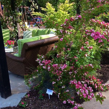 Orinda Backyard Park