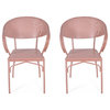 Noble House Palm Desert Outdoor Modern Dining Chair in Crackle Coral (Set of 2)