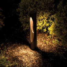 Landscape Lighting