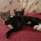 Lynne McKeage's photo