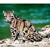 Leslie McMillan's photo