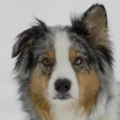 John Kenney's photo
