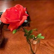 Frances Martinez's photo