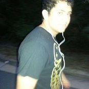 Amir Shami's photo