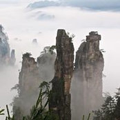 Andy Sheung's photo