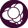Blackberry Landscapes's profile photo