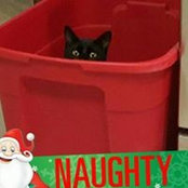 Donna Thornton's photo
